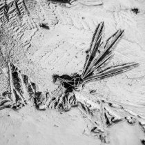 Jacob Groening, Kyrill, Redford - Macaco (Mollono.Bass Remix)