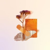 sun seduction - гуляем с тобой