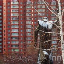 Курара - Платон