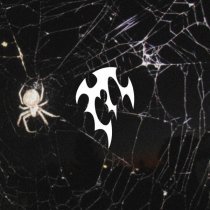 ask eternity - through the veil