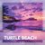 John Reyton, Offkeda - Turtle Beach