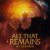 All that Remains - Let You Go